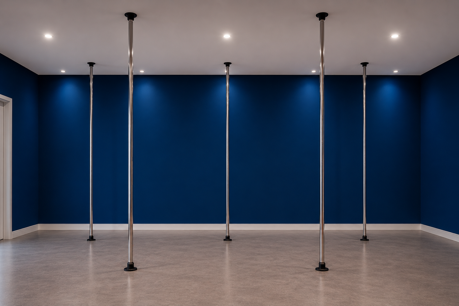 Estúdio Praiana — sala com barras de pole